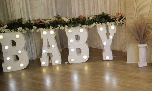 Central Florida baby shower decor