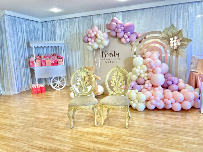 Birthday party rental