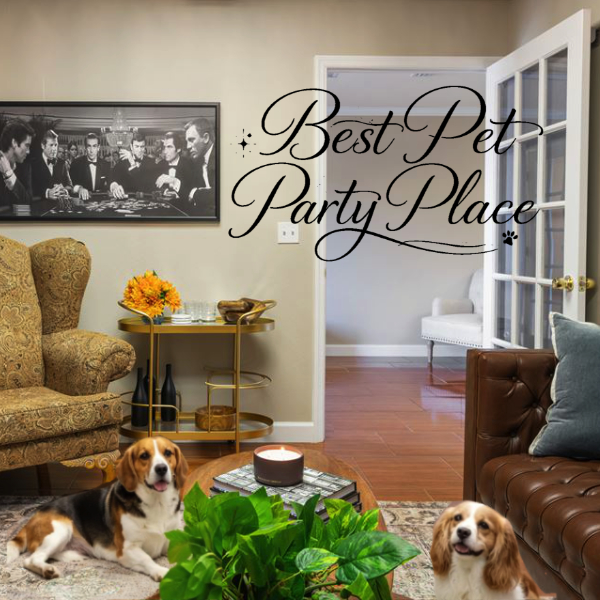 grooms suite with two dogs on floor